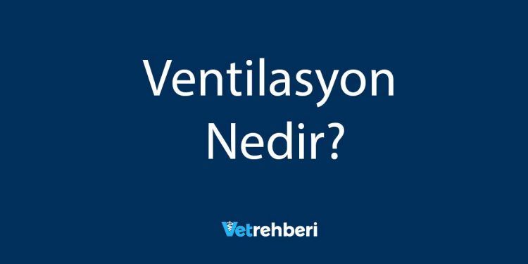 Ventilasyon Nedir?