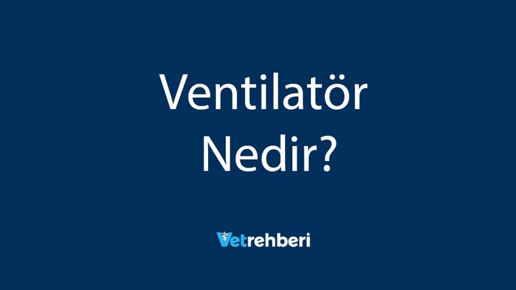 Ventilatör Nedir?