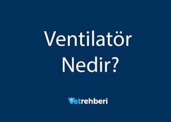 Ventilatör Nedir?
