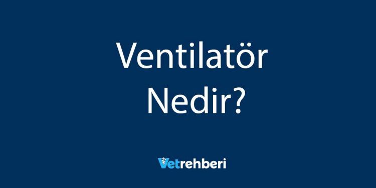 Ventilatör Nedir?