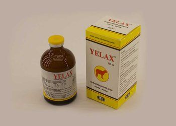 Yelax