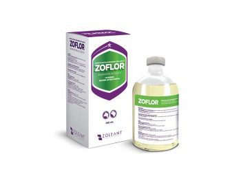 Zoflor