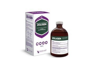 Zoligen