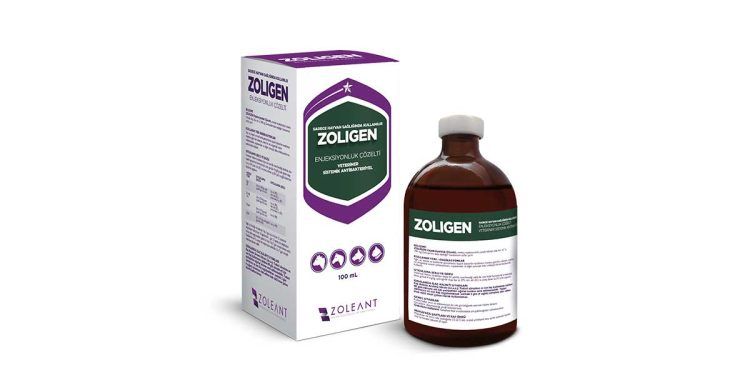 Zoligen