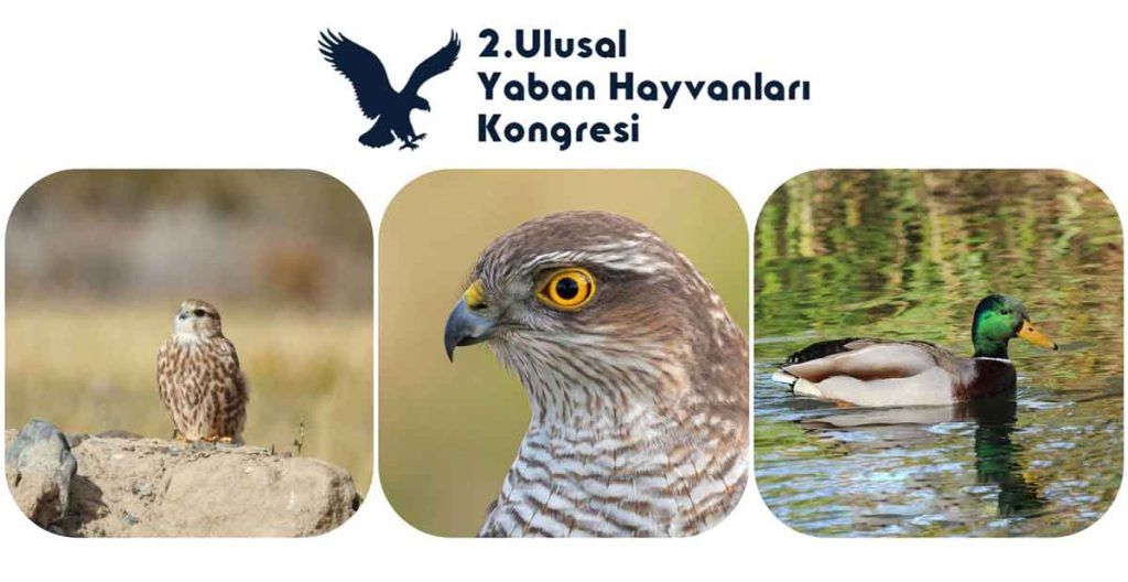 2. Ulusal Yaban Hayvanları Kongresi