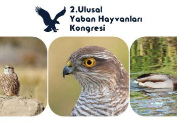 2. Ulusal Yaban Hayvanları Kongresi