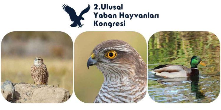 2. Ulusal Yaban Hayvanları Kongresi