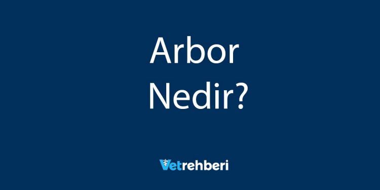 Arbor Nedir?