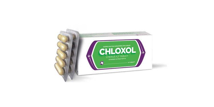 Chloxol