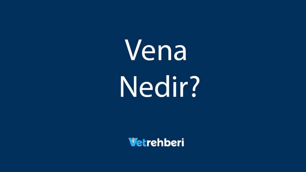 Vena Nedir?