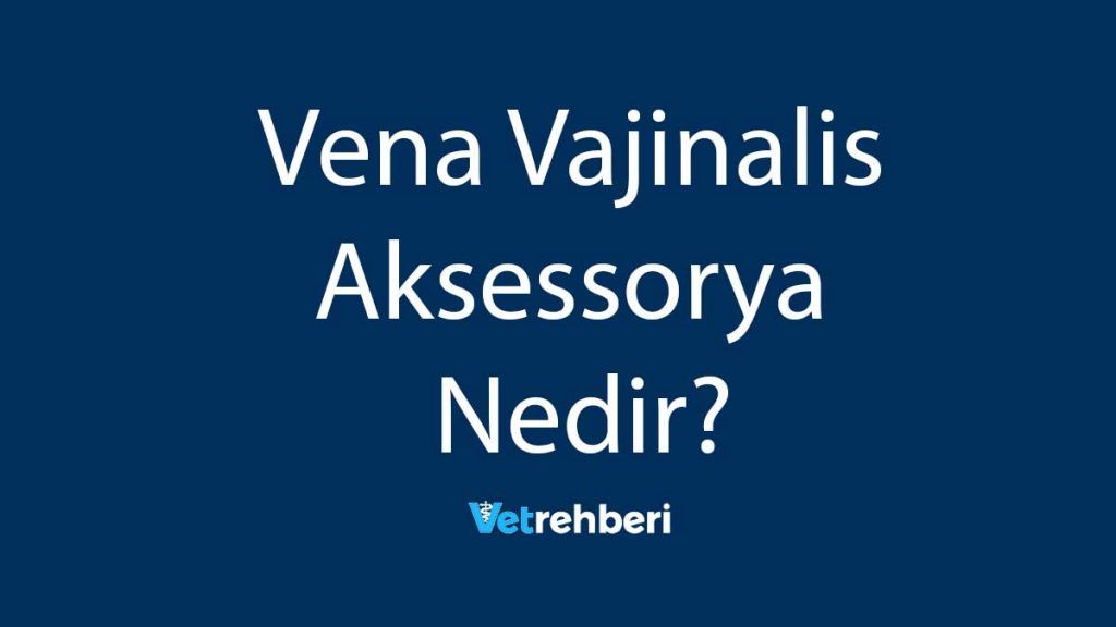 Vena Vajinalis Aksessorya Nedir?