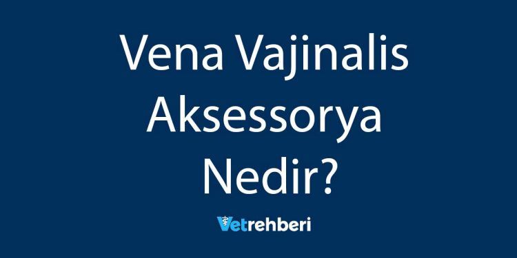 Vena Vajinalis Aksessorya Nedir?