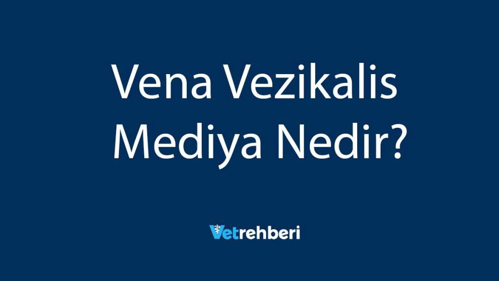 Vena Vezikalis Mediya Nedir?