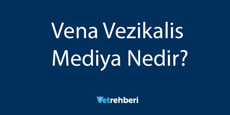 Vena Vezikalis Mediya Nedir?