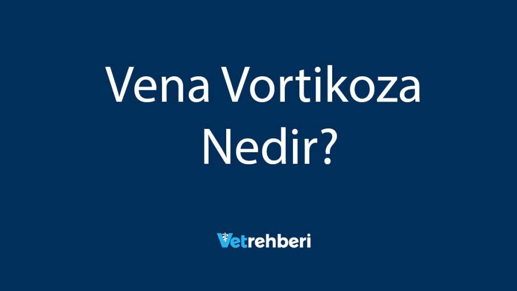 Vena Vortikoza Nedir?