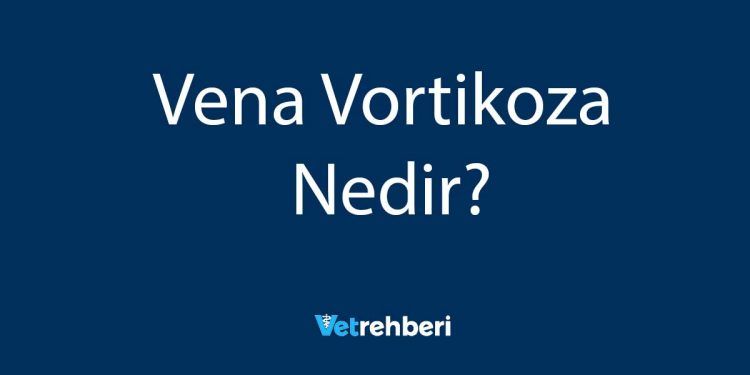 Vena Vortikoza Nedir?