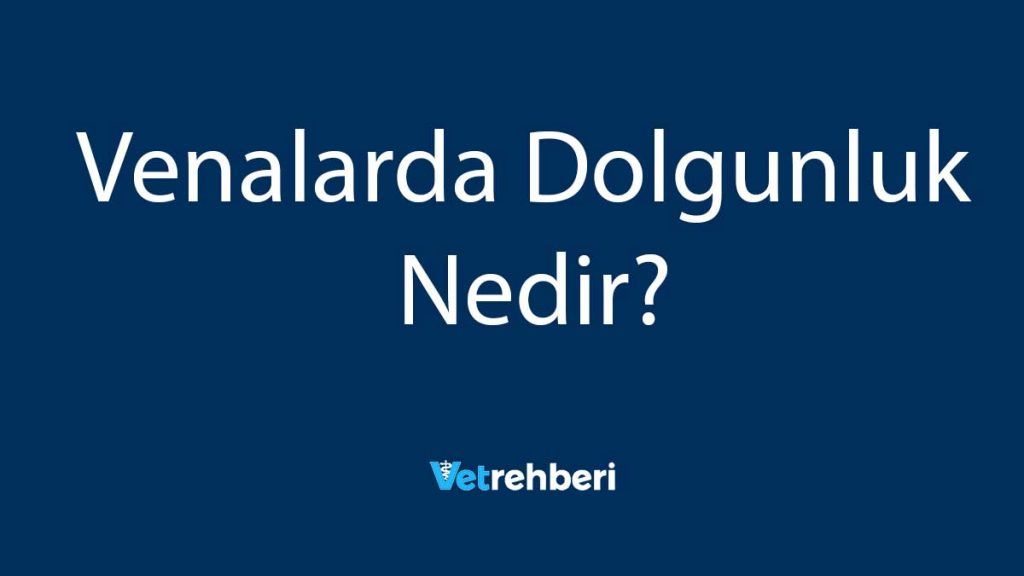 Venalarda Dolgunluk Nedir?