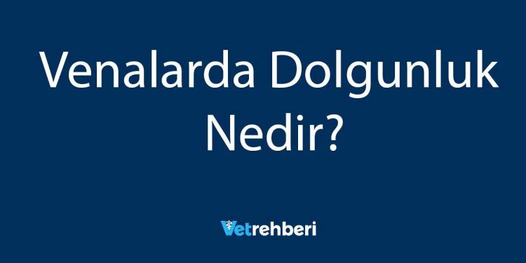 Venalarda Dolgunluk Nedir?