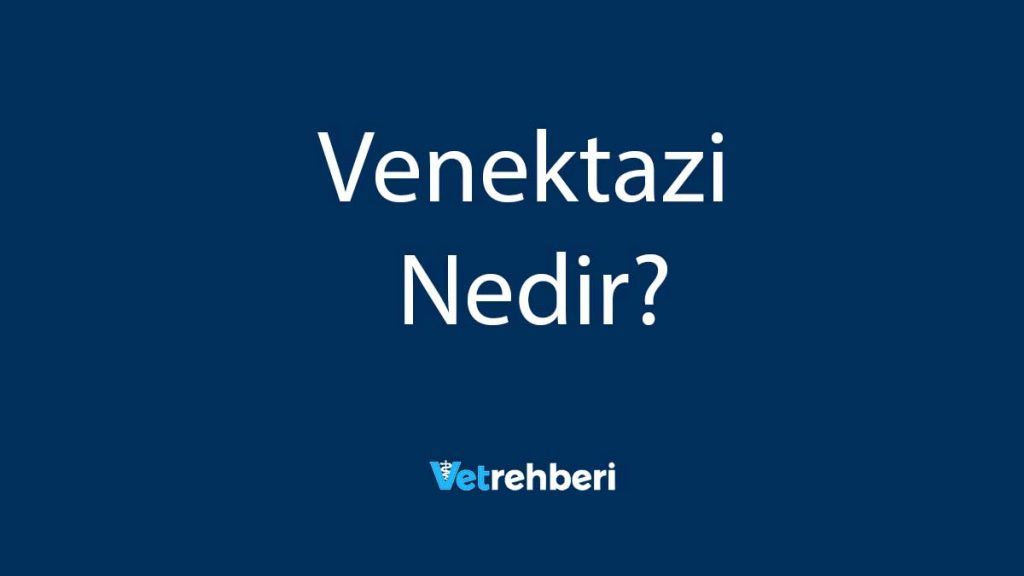 Venektazi Nedir?