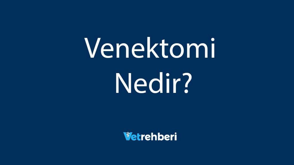 Venektomi Nedir?