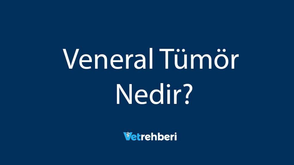 Veneral Tümör Nedir?