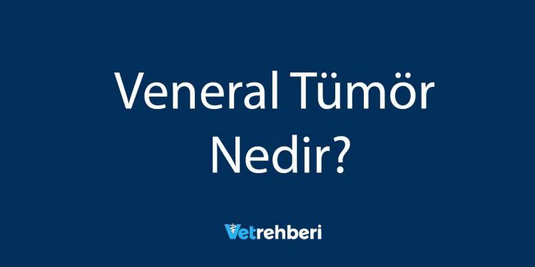 Veneral Tümör Nedir?