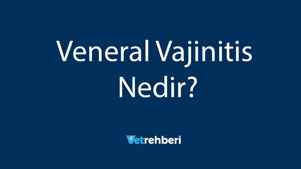 Veneral Vajinitis Nedir?