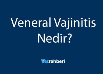 Veneral Vajinitis Nedir?