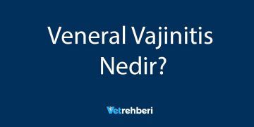 Veneral Vajinitis Nedir?