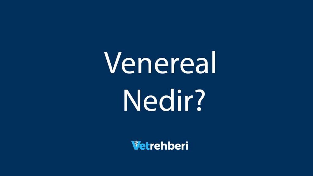 Venereal Nedir?