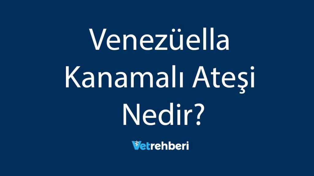 Venezüella Kanamalı Ateşi Nedir?