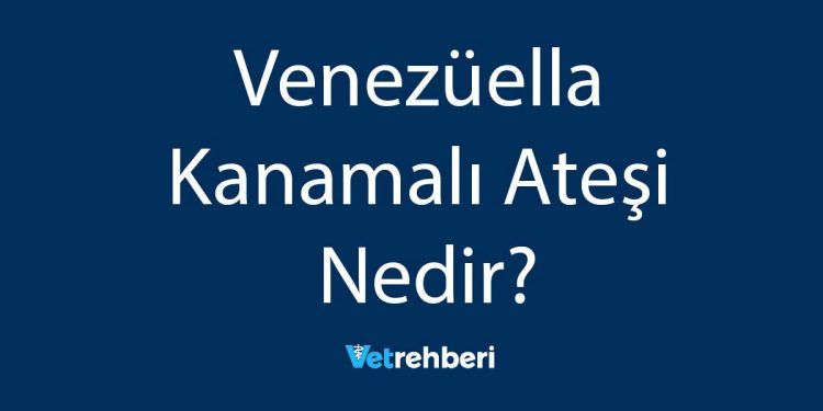 Venezüella Kanamalı Ateşi Nedir?