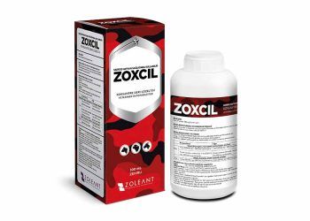 Zoxcil