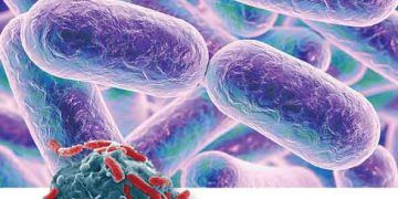 Hayvan Mikrobiyolojisi