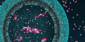 Lehninger Biyokimya Prensipleri, 8. Baskı