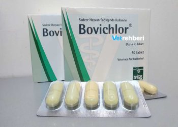 Bovichlor