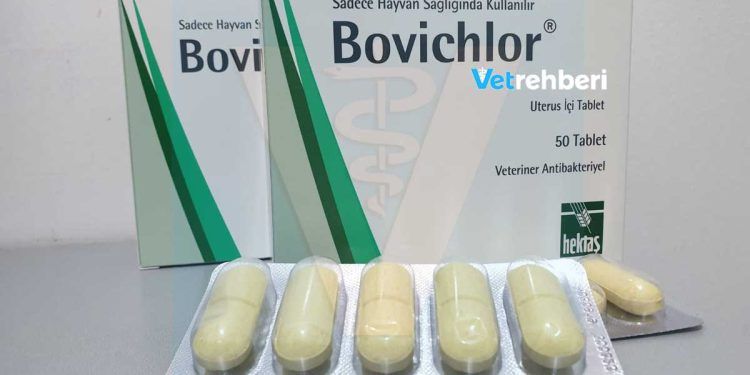 Bovichlor