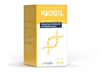 Macrotil