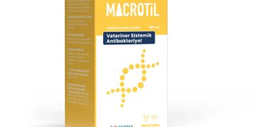 Macrotil