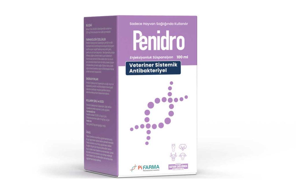 Penidro