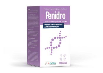 Penidro