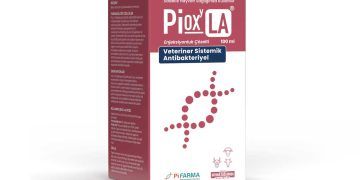 Pioxy LA