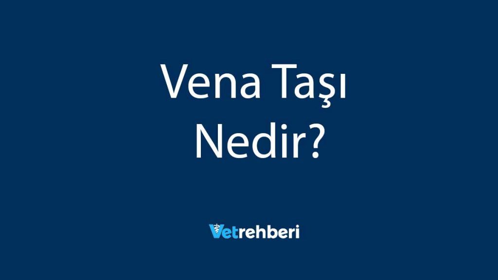 Vena Taşı Nedir?