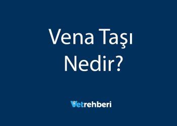 Vena Taşı Nedir?