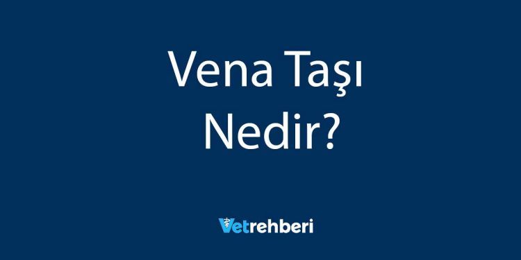 Vena Taşı Nedir?