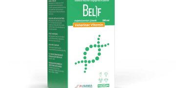 Belif
