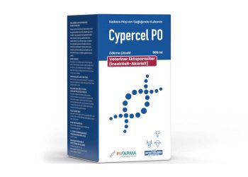 Cypercel PO