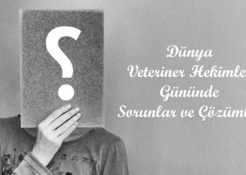 Dünya Veteriner Hekimler Gününde Sorunlar ve Çözümleri