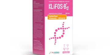 Klifos B12