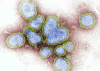 Maymun Çiçeği Hastalığı